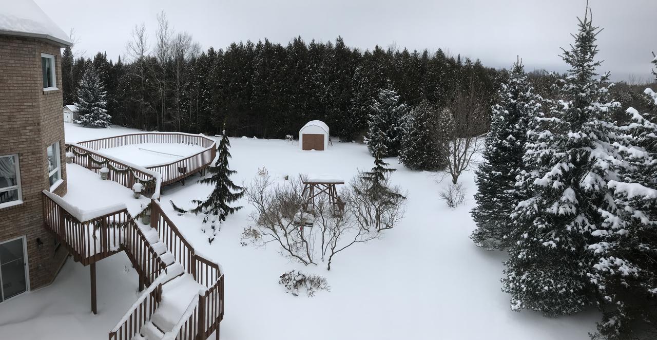 Molly'S Retreat B And B Orangeville Exterior foto
